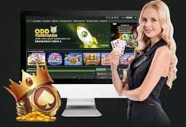 120bet